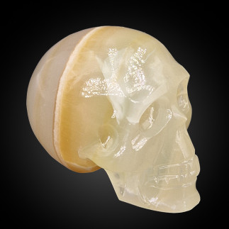 Crâne en onyx marbre